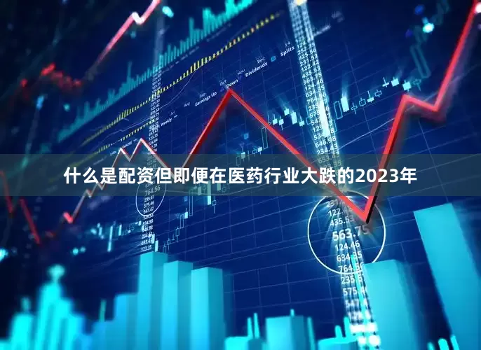 什么是配资但即便在医药行业大跌的2023年